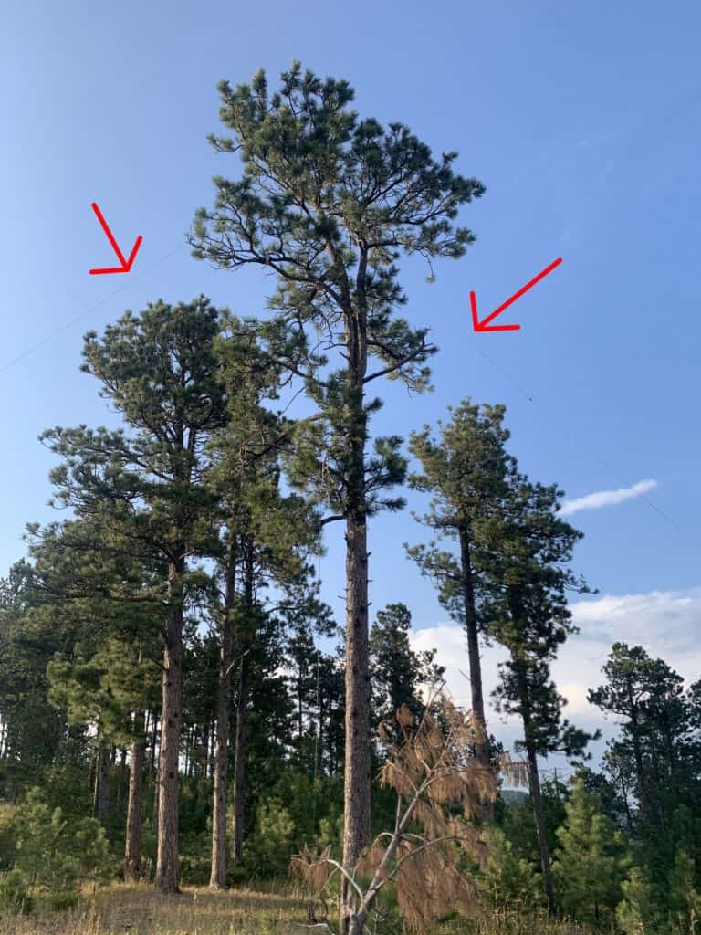 inverted vee wire antenna